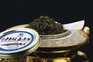 上帝深爱鱼子酱,揭秘鱼子酱的神秘魅力