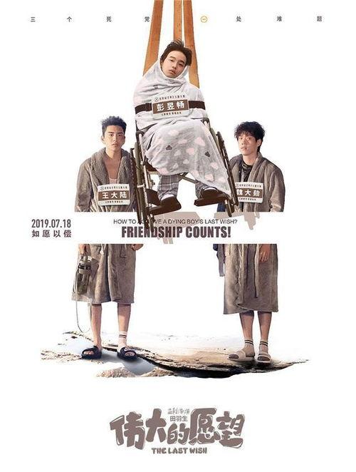 伟大的愿望,梦想与现实的交织之旅